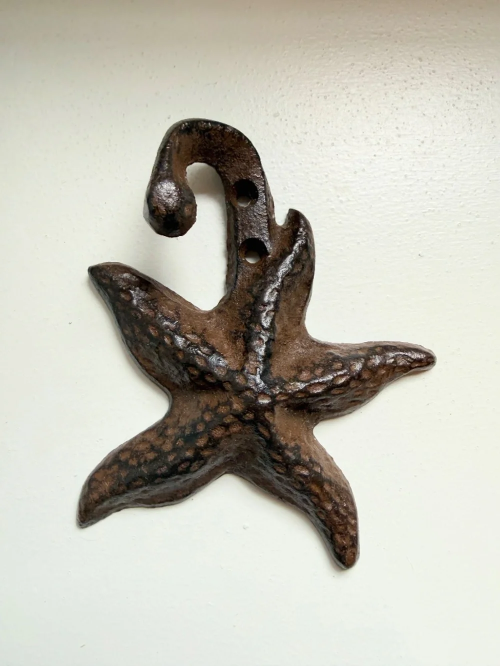 3 Cast Iron Wall Hooks - Breakwater Bay